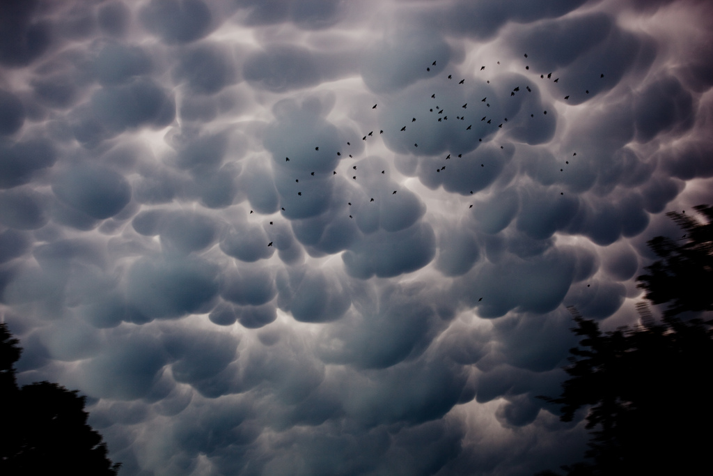 Обитатель облаков. Страшные облака асператус. Кучево дождевые вымеобразные. Необычные облака. Облака мамматусы.